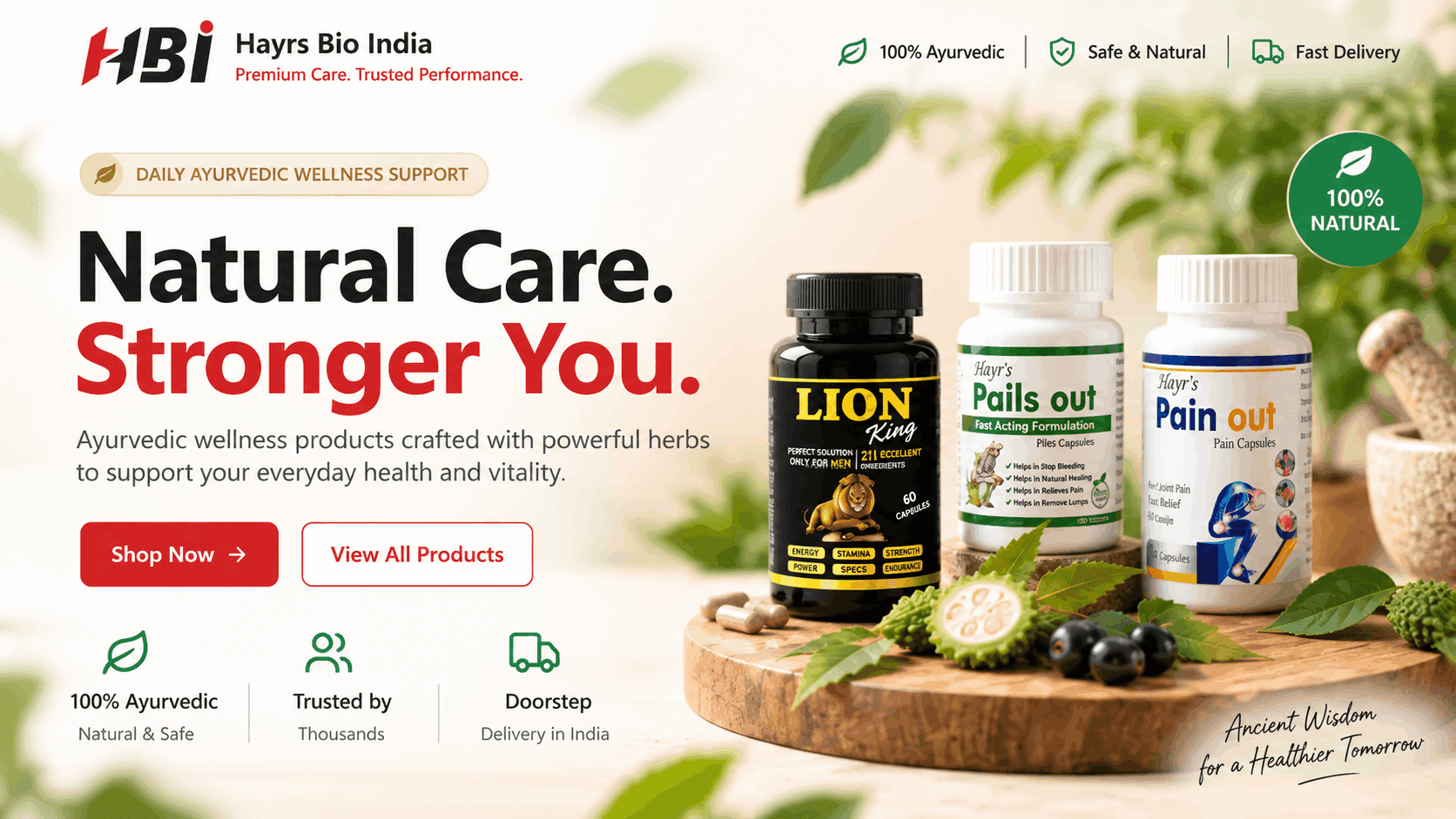 Direct-to-consumer storefront and Meta ad engine for an Ayurvedic wellness brand.